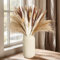 Probuk Herbe de la Pampa Séchée Décoration 25 Pièces Plantes Naturelles Fleurs Séchées pour Intérieur Décoration Maison