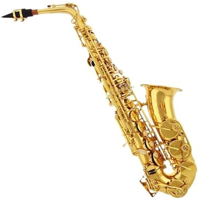 Professionell Saxofon Altsaxofon I E För Nybörjare