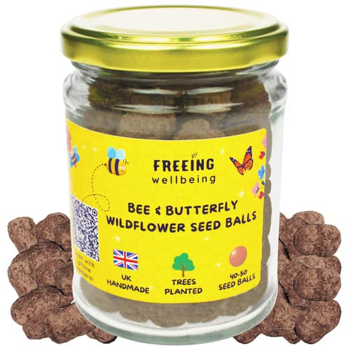 Bee & Butterfly Seed Bombs Balls - Premium Glass Gift Jar - UK Native Mix Wildflower Meadow Gardening Seeds – 65 sq ft Coverage - Plant in Spring