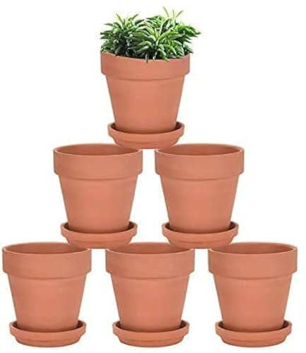 Hipothoe 10.2CM Terra Cotta Pots with Saucer - 6 Pack Clay Flower Pots with Drainage, Great for Plants, Crafts, Wedding Favor (4 inch)