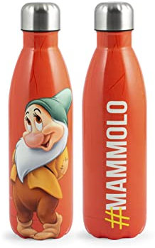 H&H Bottiglia termica inox mammolo lt0,50