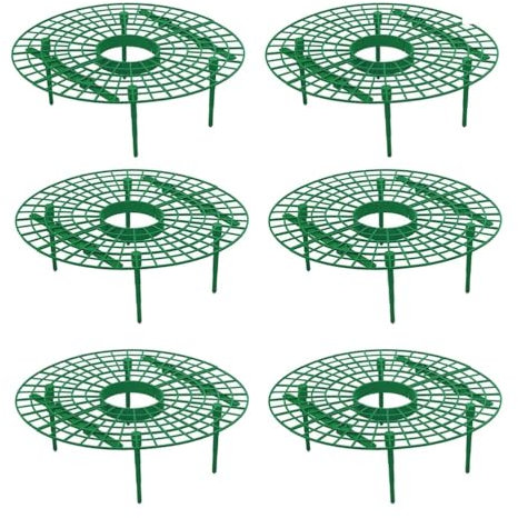 Toddmomy 6pcs Tomato Plant Strawberry Cages Gardening Plant Support Rings Strawberry Growing Frame Garden Planter Outdoor Shelf for Plants Climbing Plant Holder Frames Pumpkin Climbing Vine