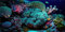 MIRRORANG 120x50cm Tropical Fish Tank Background Coral Reef Aquatic Plant Undersea Aquarium Background Vinyl