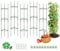 Ytaoeo 6 Stück Rankhilfe Tomaten 120 cm Höhe Tomate Rankhilfe im Set mit Twist Tie und Clips Rankhilfe für Rosen Tomate Kletterpflanzen Metall Pflanzenhalter für Tomate, Gurken, Rosen, Garten