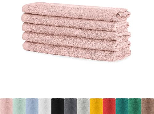 BaSaTex - Handtuch Set für Gäste 5er Pack - Frottee-Handtücher mit Aufhängeschlaufe aus weicher Baumwolle in 30x50cm - Waschtücher für Gäste Öko-Tex Standard 100 Zertifiziert - Altrosa