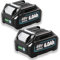 BL4050B 40V 6.0Ah/6000mAh 2X Ersatzakku für Makita Akku BL4050B Li-Ion BL1860B BL1850B BL1860 BL1850 BL1850 BL1840 BL1830 BL1820 BL1815 BL1860 BL1860BLB 1835 BL1845 BL1850 194205-3 LXT- 400 mit LED