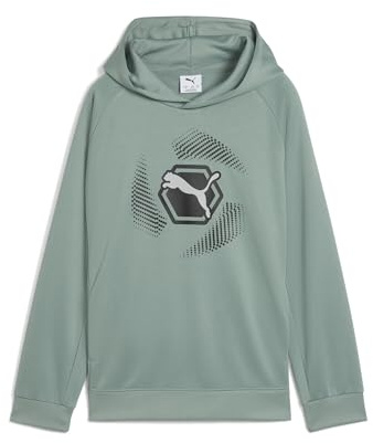 Puma Jungen Active Sports Graphic Poly Hoodie B Kapuzenpullis (1er Pack)