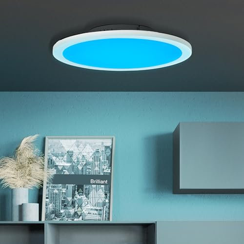 Lightbox modernes LED Panel Aufbaupaneel Durchmesser 40cm - Dimmbare Deckenlampe mit RGB und Fernbedienung - Metall/Kunststoff Weiß