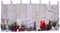 INDA-Exclusiv LED Gardine Fenstergardine Scheibengardine Weihnachten Weihnachtsgardine X-Mas beleuchtet 45x120cm