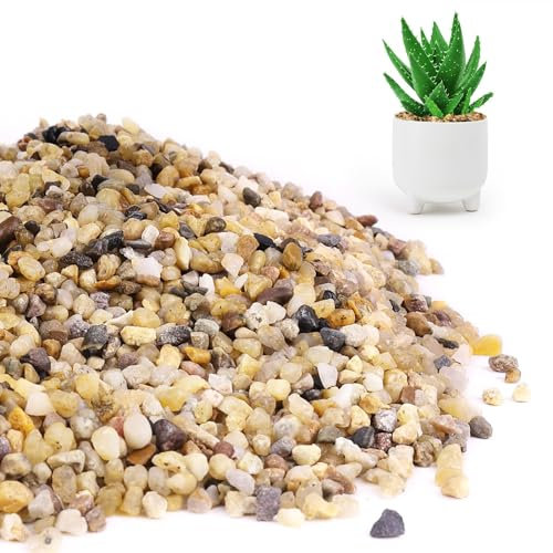 2 LB Natural Coarse Sand,Rocks for Plants,Decorative Stones,Aquarium Sand,Succulents and Cactus Bonsai DIY Projects Rocks,Pebbles for Indoor Plants,Gravel(Stones Size:3~5 mm)