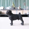 QQYDZSW Skulptur Statue Figuren for Zuhause Schlafzimmer Wohnzimmer Outdoor Deko Mops Hund Mops Simulation Tier Modell Star Auto Basteln Auto Ornamente Stehende Haltung Schwarz