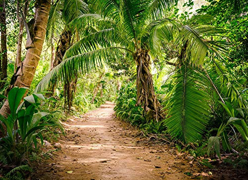 Livingwalls Designwalls 118634 Non-Woven Photo Wallpaper Palm Trees in Beige, Brown, Cream, Green, Black, White 350 x 255 cm XXL Wall Mural