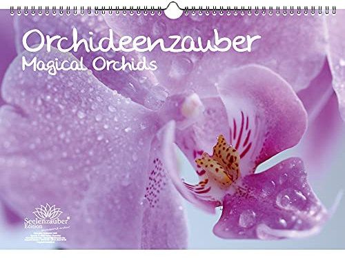 Orchideenzauber DIN A3 Kalender - Immerwährender Kalender Orchideen und Blüten - Seelenzauber