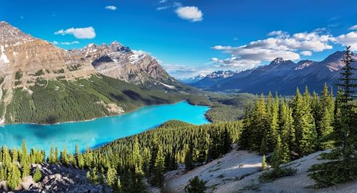 Holz-Bild 110 x 60 cm: Panorama des Peyto Lake in den Rocky Mountains, Banff Nationalpark, Kanada. (98426368)