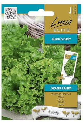 Lucia Elite | Graines de Salade GRAND RAPIDS | Graines de Légumes | Graines de Salade | Graines de Jardin | Une variété précoce, cultivée pour les récoltes de printemps,d'été et d'automne | 1 paquet