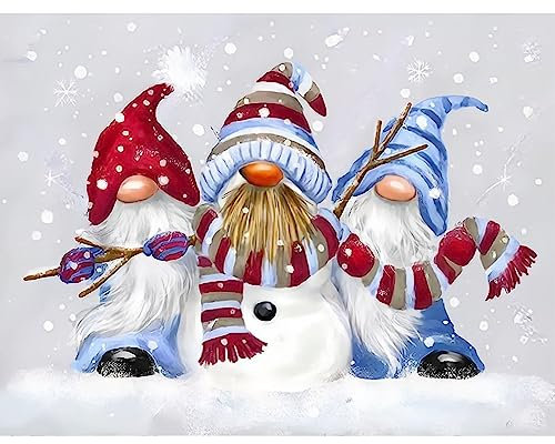 NAIMOER Winter Gnomes Diamond Painting Kits für Erwachsene Kinder, 5D Diamant Painting Weihnachten Bilder Erwachsene, Diamond Painting Weihnachten Bilder Kinder Malerei Set für Home Dekor 30x40cm