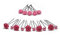 15tlg. Braut - Haarschmuck Set - Brauthaarschmuck | Set-3-S - Pink