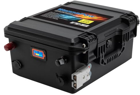 WannaPow LifePO4 24V 100Ah Batteria al Litio,Con 120A BMS,Batteria da 2560Wh,4000+ Cicli,10 Anni Di Vita,Batteria Litio Adatta Per Motore elettrico,Caravan,Camper,Solare,Nautica,Applicazioni Off-grid