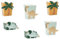 Libetui Set 6 Snackboxen Dino Dinosaurier snack box Snackschale Pappe Dinosauri Partygeschirr Geburtstag Junge Mädchen