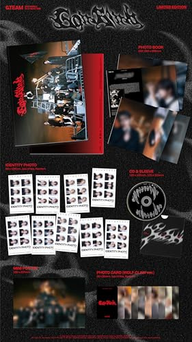 Go In Blind[Limited Edition] [CD Single+Book]