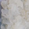 Japankristalle, Kristallalgen, Wasserkefir, Vegan frisch und vital mit Anleitung in Deutsch und saisonal wechselndem gratis Rezept