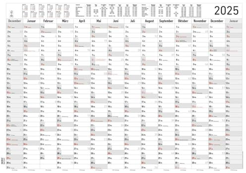 Alpha Edition - Jahresplaner XL 2025 Plakatkalender, 100x70cm, Jahreskalender mit 14 Monaten-Übersicht, Ferienterminen und deutschem Kalendarium, Arbeitstagezählung