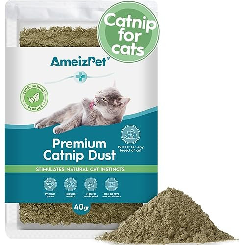 AmeizPet Poussière d'herbe à Chat pour Chats, Alternative à l'herbe à Chat pour L'entraînement Et Le Jeu, Poussière De Comportement Chat Et Chaton 40 g (0.09 Oz)