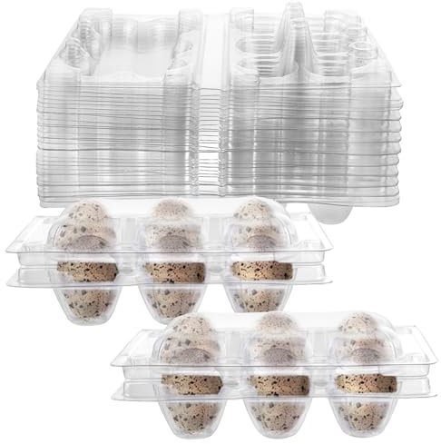 APACALI Pack of 100 Quail Egg Boxes, Quail Egg Boxes, 6 Grids, Plastic Quail Egg Boxes with Lid, Transparent Quail Egg Boxes