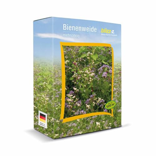 blizz-z Bienenweide mehrjährig - Blumenwiese 1 kg für ca. 500 m² - 1 Karton | Wildblumenmischung, lange, abwechslungsreiche Blütendauer, winterhart - für Bienen, Hummeln, Insekten - Made in Germany