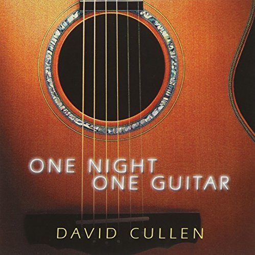 One Night, One Guitar