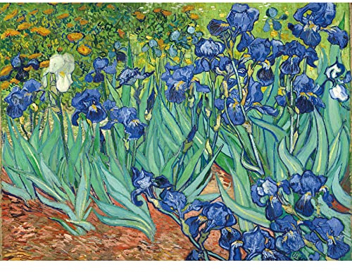 Bristlegrass Holzpuzzle 1000 Teile Puzzle für Erwachsene Van Gogh Berühmte Gemälde - Schwertlilien Geschenke Kunst Sammlerstücke Dekorative Malerei Puzzles (1000 Stück)