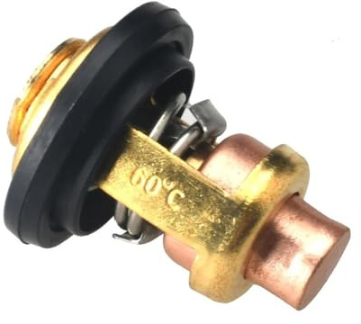 DEzxf9Rd Thermostat 6G8-12411 60 degrés 140 °F for Moteur Hors-Bord 4 Temps 62Y-12411-00; 677-12411-00
