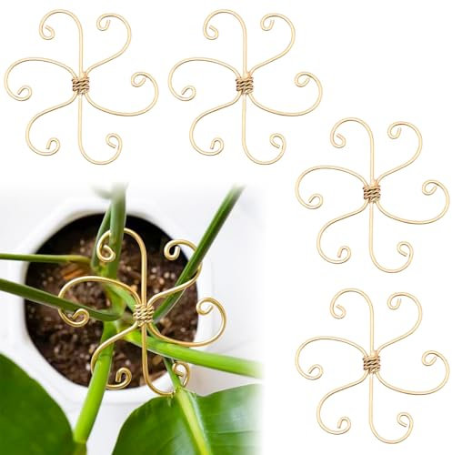 Winmany Monstera Lot de 5 supports de tige de plantes d'intérieur pour plantes grimpantes en pot - Accessoires pour extérieur, jardin, treillis (style fleur)
