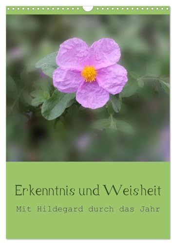 Erkenntnis und Weisheit - Hildegard von Bingen (Wandkalender 2026 DIN A3 hoch), CALVENDO Monatskalender: Mit den Erkenntnissen und der Weisheit Hildegard von Bingens durch das Jahr. (CALVENDO Glaube)