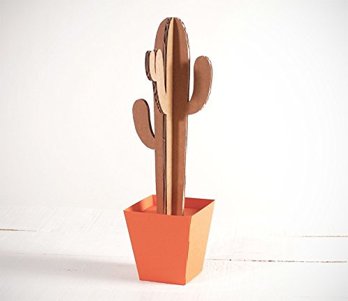 Selfpackaging Cactus Alto con Vaso colorato - Arancione