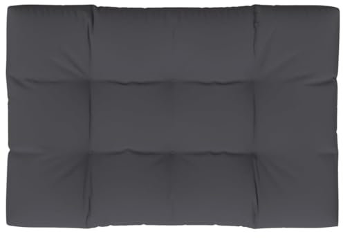 vidaXL Palettenkissen, Palettenauflage für Europaletten, Palettenpolster Palettensofa Outdoor Indoor, Sitzkissen, Anthrazit 120x80x12cm Stoff