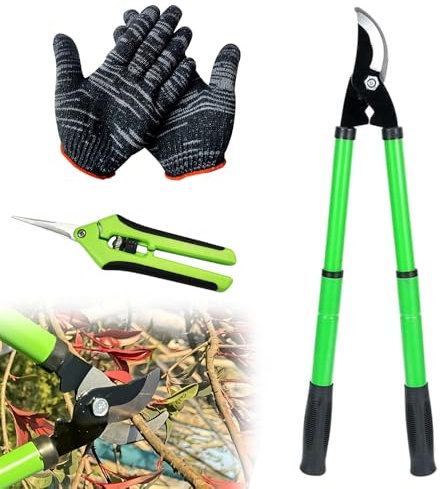 Lotvic 2 Pezzi Troncarami Telescopico, Tagliarami Telescopico, Troncarami Potatura, con Impugnatura Antiscivolo Taglia Rami, 42-61CM, con Forbici per Uva e Guanti