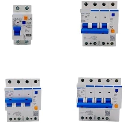 Interruttore magnetotermico differenziale RCBO NXBLE-63YH 100MA 0.1A Interruttore magnetotermico differenziale NXBLE 32A 40A 63A 125A(2P,50A)