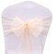 BIT.FLY 50 Pcs Schleifen für Stuhlhussen - Organza Hochzeit Stuhlschleife 18 x 275CM Stuhldekoration für Partys Hochzeiten Feiern, Pfirsich