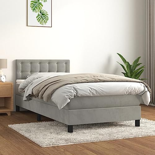 ZQQLVOO Bettgestell Familienbett Palettenbett Boxspringbett mit Matratze Hellgrau 90x190 cm Samt