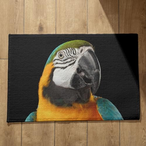 EHOMERY External Doormat Mats Indoor-Outdoor Parrot Z Door Mat Dirt Trapper Runner Rugs for Hallway 40x60cm, Non-Slip Plush Cotton Decor Doormat