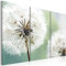 murando - Bilder Pusteblumen 135x90 cm Vlies Leinwandbild 3 Teilig Kunstdruck modern Wandbilder XXL Wanddekoration Design Wand Bild - Natur grün 030210-16