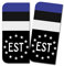 Finest Folia 2 x Kennzeichen Sticker passgenau für EU Feld 11x5cm Design Aufkleber für Nummernschild Folie KFZ Schwarz oder mit Fahne waschstraßenfest R167 (05 Estland, Mit Flagge)