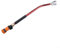 Zeroupshop Edelstahl Profi Gießstab Gießstab Gießlanze Gartensprüher für Hängekörbe für einfache Verwendung (3/4 Zoll)