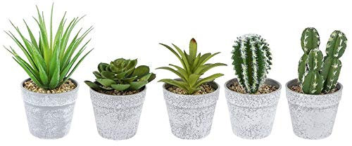 Ideen mit Herz Deko-Sukkulenten-Set | 5 Stück | Künstliche Kakteen-Pflanzen im Echt-Look | Ideale Deko für Büro, Fensterbank, Wohnzimmer, Schlafzimmer, UVM. (Grauer Blumentopf | 10 bis 16 cm hoch)