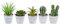 Ideen mit Herz Deko-Sukkulenten-Set | 5 Stück | Künstliche Kakteen-Pflanzen im Echt-Look | Ideale Deko für Büro, Fensterbank, Wohnzimmer, Schlafzimmer, UVM. (Grauer Blumentopf | 10 bis 16 cm hoch)