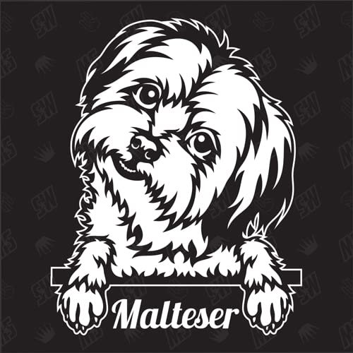 speedwerk-motorwear Malteser Version 4 - Sticker, Aufkleber, Hundeaufkleber, Autoaufkleber, Hund, Auto, Hunderassen, Mischling, Mix, Tiere, Haustier (AUCH MIT Wunschname MÖGLICH)