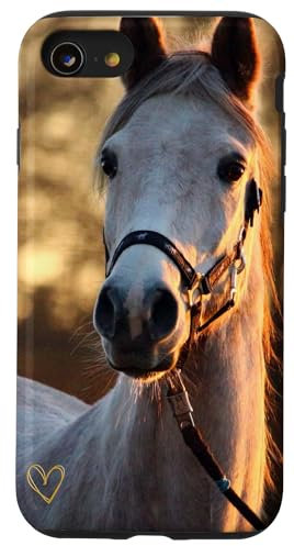 Motiv Pferd weiß braun mit einem schönen goldenen Liebesherz Hülle für iPhone SE (2020) / 7 / 8
