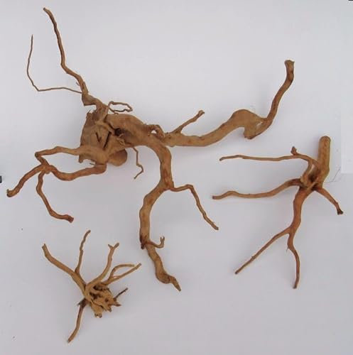 florari Spiderwood Gr. S 10-20 cm - Fingerwood