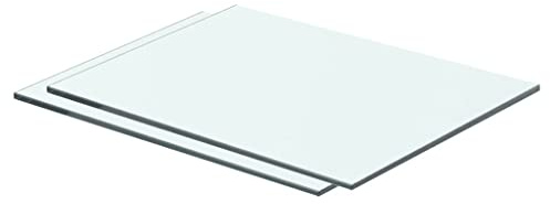 WIFESE Panneaux d'Étagère 2 Pcs Verre Trempé Transparent 40x25 cm Épaisseur 8 mm Étagère de Maison Magasin Tablette Salle de Bain Chambre à Coucher Autres Accessoires de Salon Étagère de Douche